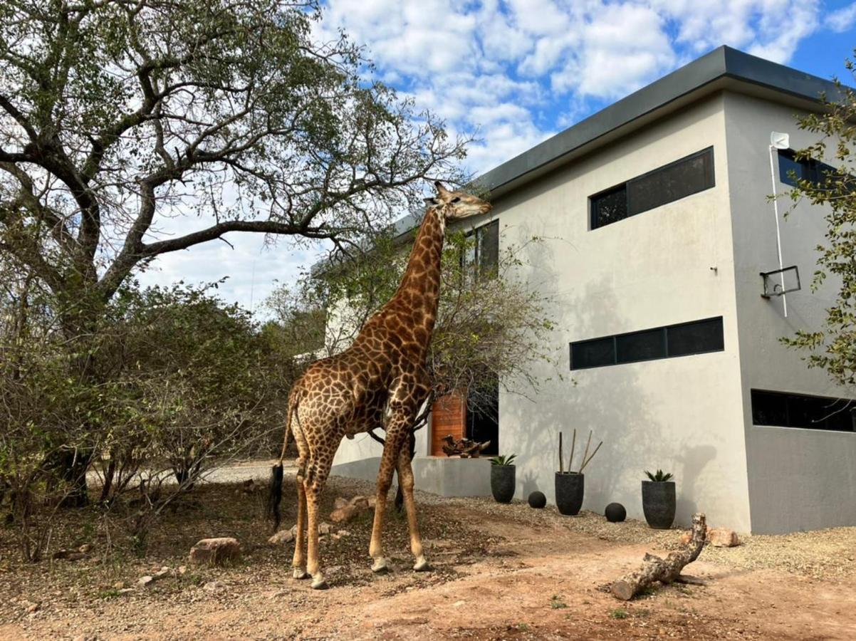 Birdsong Kruger Villa Marloth Park Eksteriør bilde